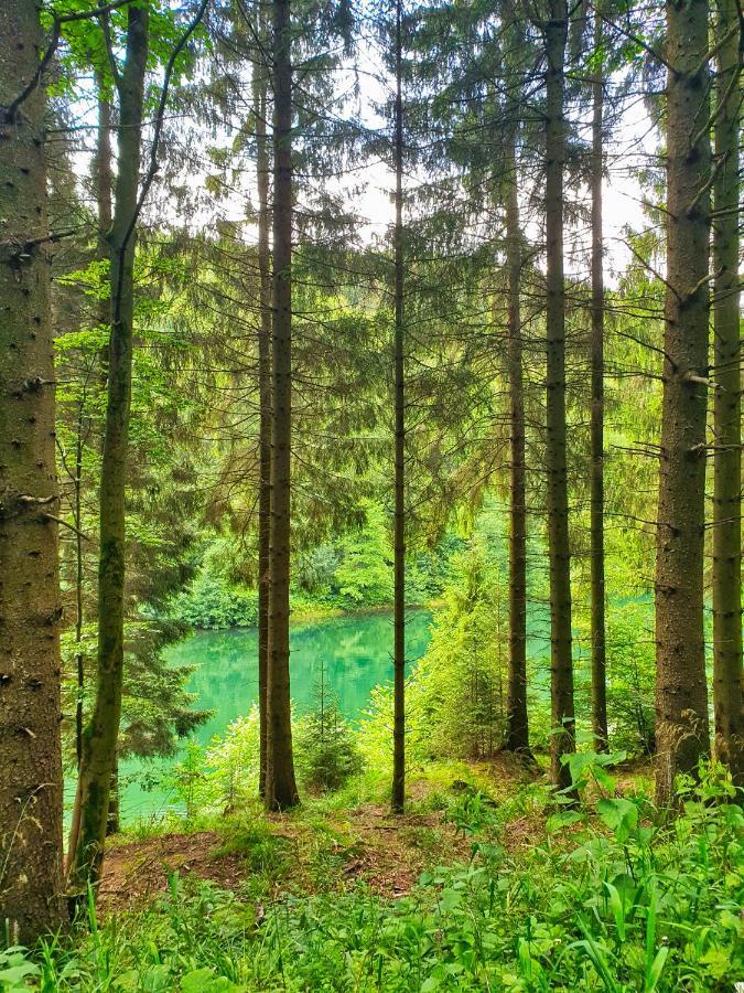 Meisterstein * Winterberg